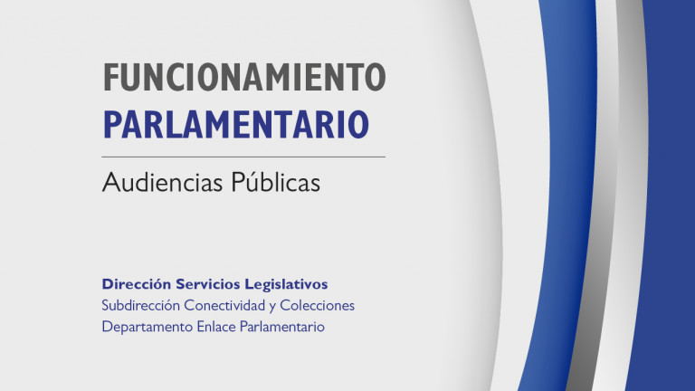 Funcionamiento Parlamentario. Audiencias Públicas