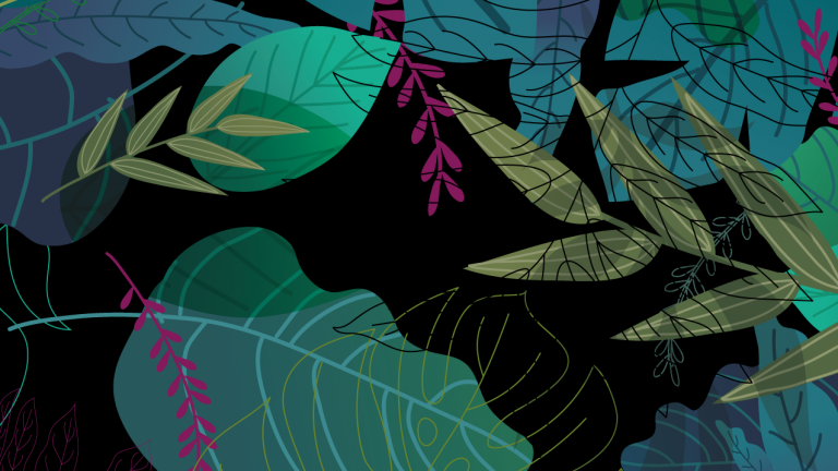 Boletín N° 138: Reflexiones ambientales