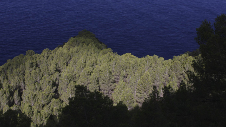 Ver, pensar y narrar en el lenguaje de las imágenes