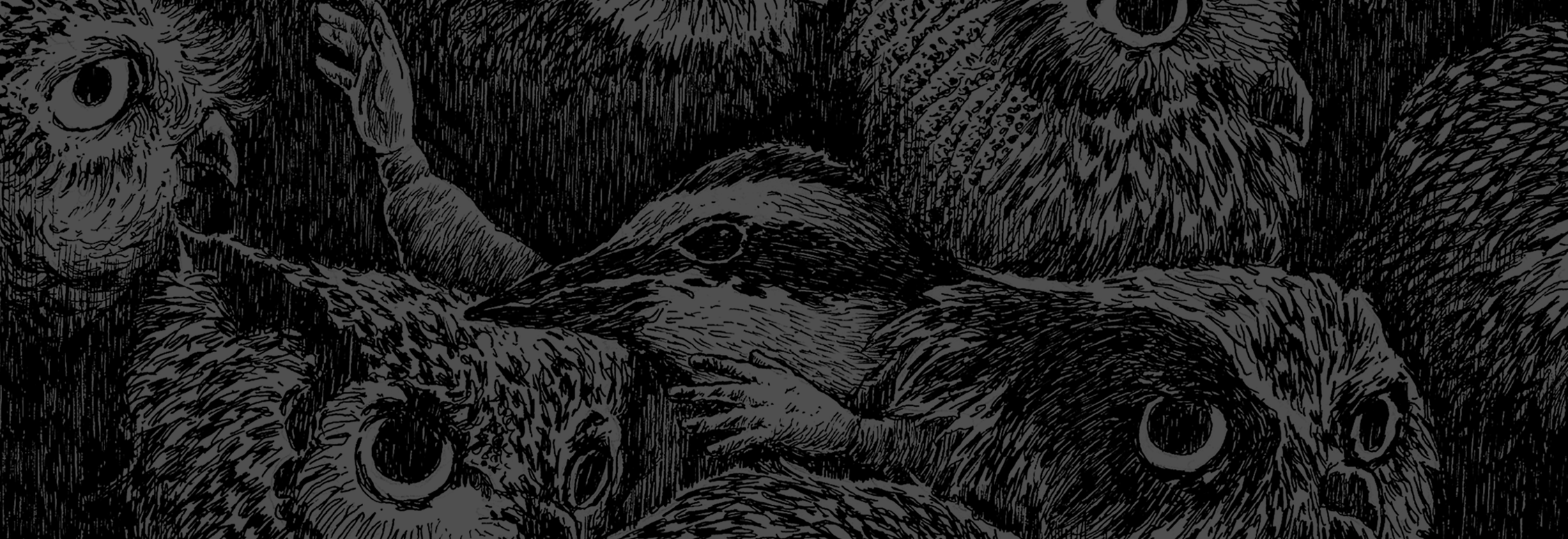 Narraciones de viajes, peregrinos, lobos y otras miniaturas | Ilustraciones de Nicolás Arispe