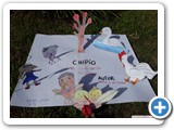 _chipio._el_gorrioncito_peleador___brenda_galvan__4to_grado_eep_n_5_jose_hernndez_pueblo_santa_trinidad_coronel_suarez